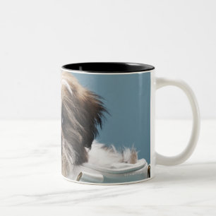 Caneca De Café Em Dois Tons Filhote de cachorro que senta-se na bolsa