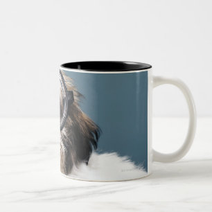 Caneca De Café Em Dois Tons Filhote de cachorro que veste vidros grossos