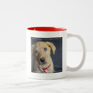 Caneca De Café Em Dois Tons Filhote de cachorro vermelho do Fox Labrador