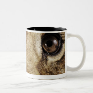 Caneca De Café Em Dois Tons Filhote de leão (Panthera leo) que lambe o nariz,