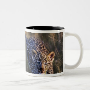 Caneca De Café Em Dois Tons Filhote de leopardo Panthera Pardus