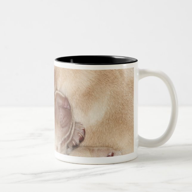 Caneca De Café Em Dois Tons Filhotes de cachorro amarelos de labrador (Direita)