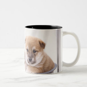 Caneca De Café Em Dois Tons Filhotes de cachorro de Shiba Inu na cuba de