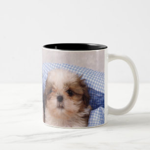 Caneca De Café Em Dois Tons Filhotes de cachorro de Shih Tzu sob uma cobertura