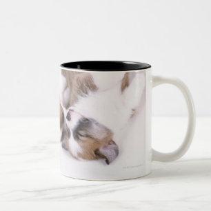 Caneca De Café Em Dois Tons Filhotes de cachorro do corgi do sono galês