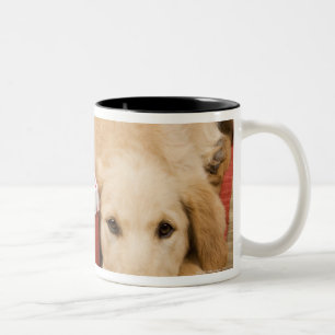 Caneca De Café Em Dois Tons Filhotes de cachorro do golden retriever com
