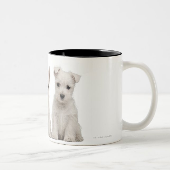 Caneca De Café Em Dois Tons Filhotes de cachorro ocidentais de Terrier das (Direita)