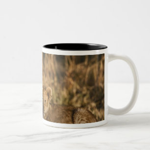 Caneca De Café Em Dois Tons Filhotes de Leão no Tronco