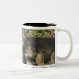 Caneca De Café Em Dois Tons Filhotes de lobo da madeira