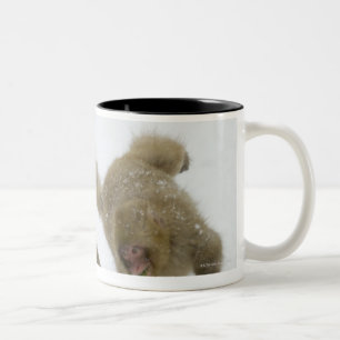 Caneca De Café Em Dois Tons Filhotes japoneses do macaco da neve que jogam na