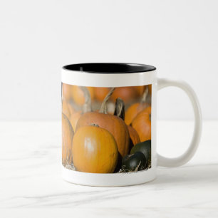 Caneca De Café Em Dois Tons Fim-acima das abóboras