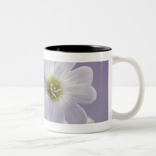 Caneca De Café Em Dois Tons Fim-acima das flores 2