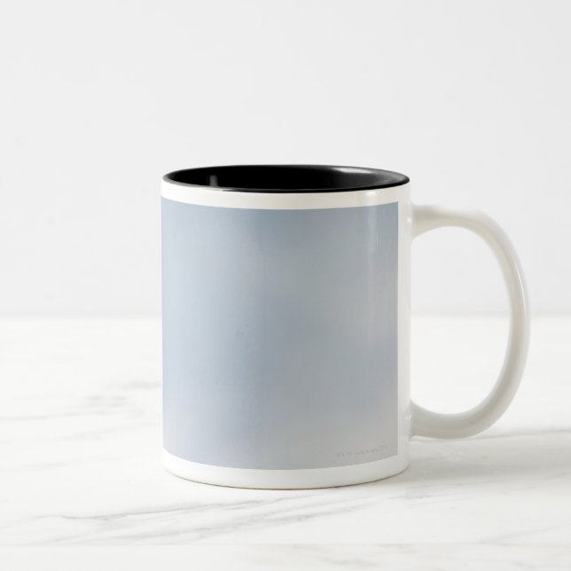 Caneca De Café Em Dois Tons Fim-acima de um cão (Direita)