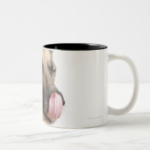 Caneca De Café Em Dois Tons Fim-acima de um german shepherd que lambe seu