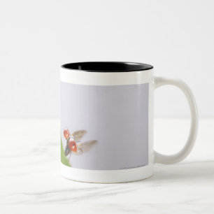 Caneca De Café Em Dois Tons Fim-acima de um joaninha que voa sobre uma folha