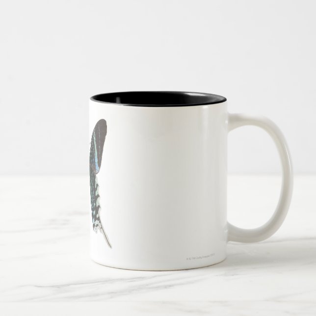 Caneca De Café Em Dois Tons Fim-acima de uma borboleta (Direita)