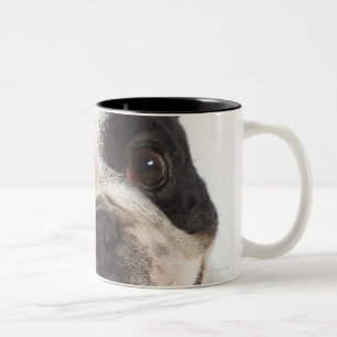 Caneca De Café Em Dois Tons Fim-acima de uma Boston Terrier