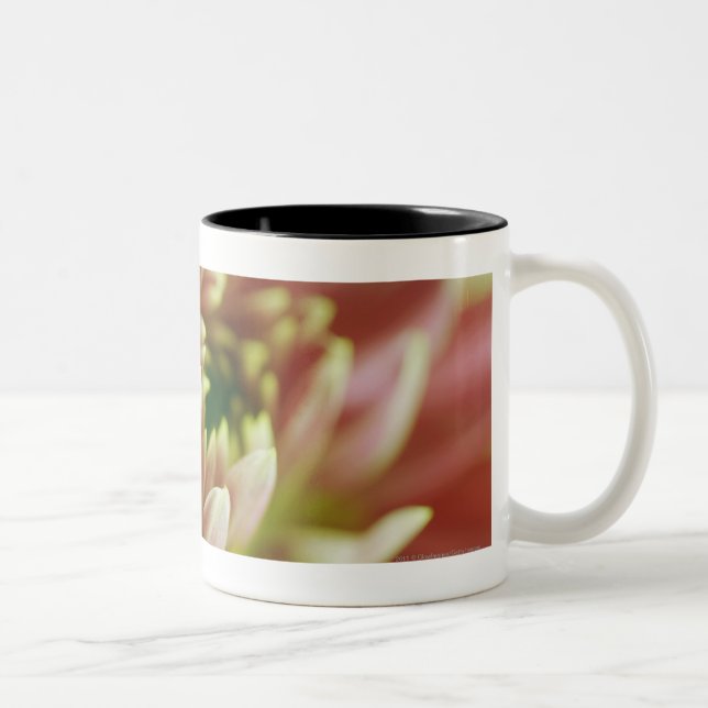 Caneca De Café Em Dois Tons Fim-acima de uma flor (Direita)
