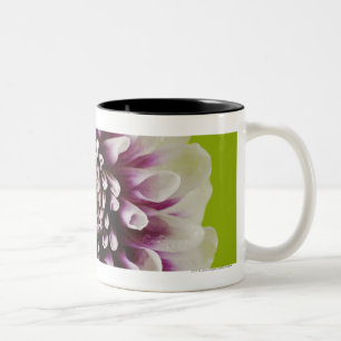 Caneca De Café Em Dois Tons Fim-acima de uma flor 2