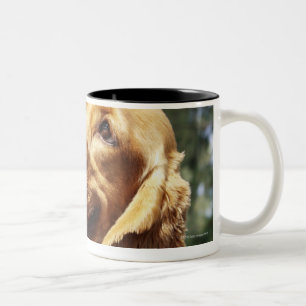 Caneca De Café Em Dois Tons Fim-acima de uma maçã na frente de um cão