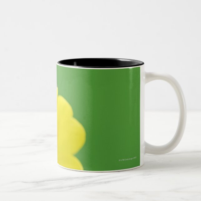 Caneca De Café Em Dois Tons Fim-Acima do joaninha (Direita)