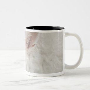 Caneca De Café Em Dois Tons Fim-acima do Keeshond (10 anos velho)