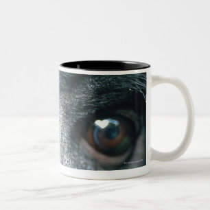 Caneca De Café Em Dois Tons Fim-acima do macaco