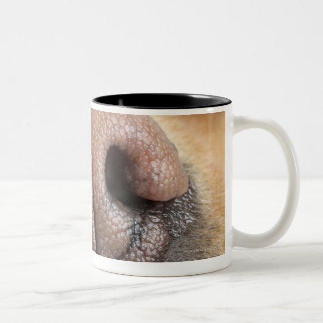 Caneca De Café Em Dois Tons Fim-acima extremo de um nariz de cão (Direita)
