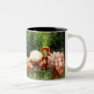 Caneca De Café Em Dois Tons flamingos cor-de-rosa
