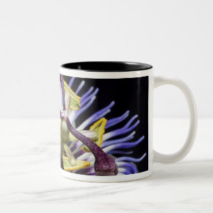Caneca De Café Em Dois Tons Flor-da-paixão close-up (MR)