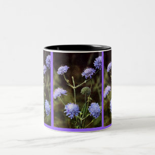 Caneca De Café Em Dois Tons Flor Selvagem: Campo Escabioso