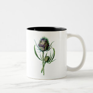 Caneca De Café Em Dois Tons Flor selvagem da antiguidade do cardo do Scottish