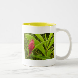 Caneca De Café Em Dois Tons Flor Vermelho Ginger (Alpinia)