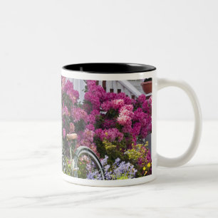 Caneca De Café Em Dois Tons Floração de primavera espetacular, antiquado capri