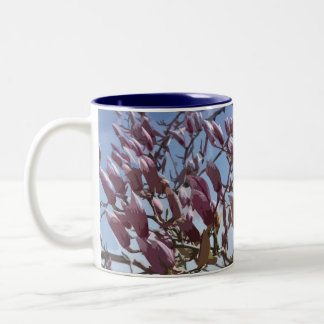 Caneca De Café Em Dois Tons Flores da árvore de tulipa/magnólia de pires