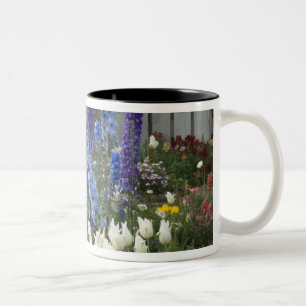 Caneca De Café Em Dois Tons Flores de primavera ao longo de um caminho de jard