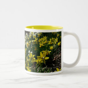 Caneca De Café Em Dois Tons Flores de primavera de Daffodils Amarelos e Branco