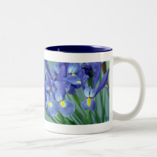 Caneca De Café Em Dois Tons Flores Roxas De Iris Fotografias De Mangueiras De
