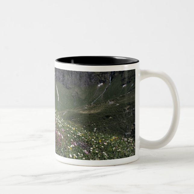 Caneca De Café Em Dois Tons Flores selvagens, florescendo, Alpes, Suiça (Direita)