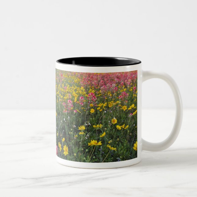 Caneca De Café Em Dois Tons Flores selvagens na estrada no Texas, primavera (Direita)