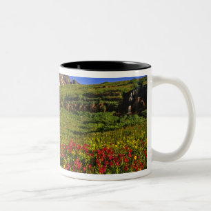 Caneca De Café Em Dois Tons Flores silvestres alpinas em Logan Pass no Glaciar