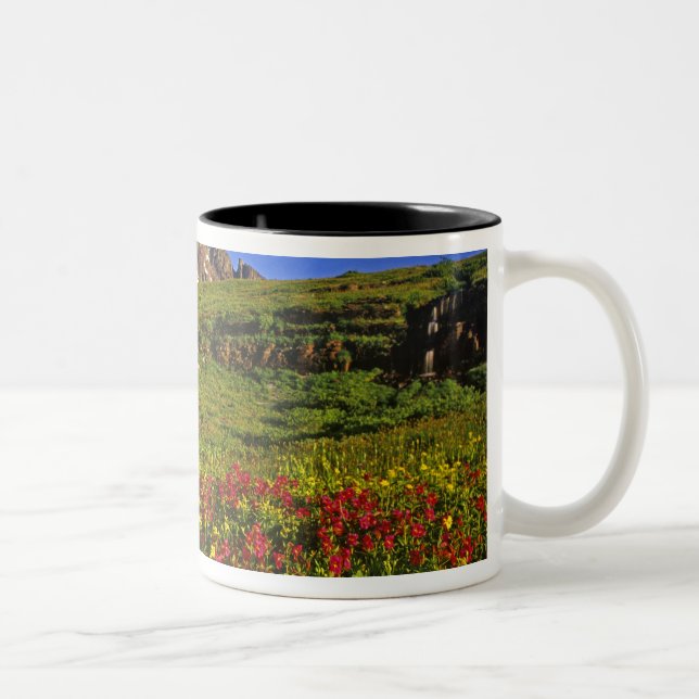 Caneca De Café Em Dois Tons Flores silvestres alpinas em Logan Pass no Glaciar (Direita)
