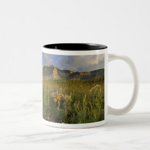 Caneca De Café Em Dois Tons Flores Silvestres da Pradaria em Windy Creek no Ma