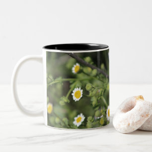 Caneca De Café Em Dois Tons Flores Silvestres Margarida de Pedra do Deserto de
