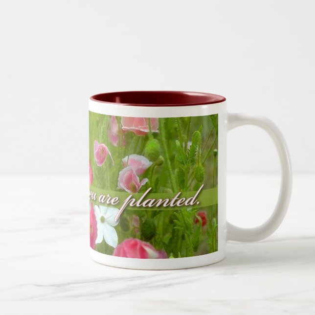 Caneca De Café Em Dois Tons Floresça onde você são plantados, papoilas (Direita)