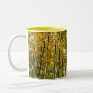 Caneca De Café Em Dois Tons Floresta de Folhas Amarelas Paisagem de Outono