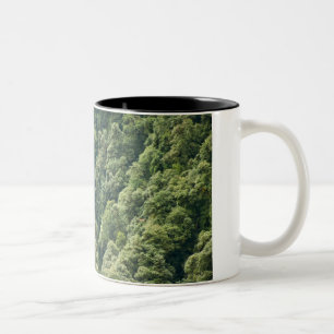 Caneca De Café Em Dois Tons Floresta de Himalaia no vale de Mangdue, Butão