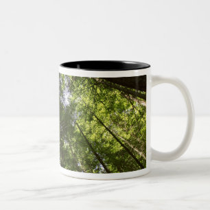 Caneca De Café Em Dois Tons Floresta de Redwood, Rotorua, Nova Zelândia 2