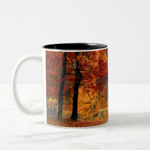 Caneca De Café Em Dois Tons Floresta do outono