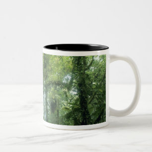 Caneca De Café Em Dois Tons Floresta Nubosa de Monteverde, Costa Rica.